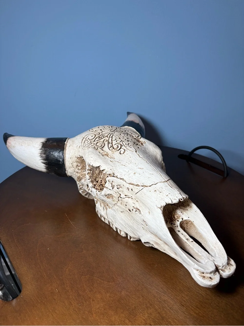 Decorative White Bull Skull Wall Accent with Black-Tipped Horns